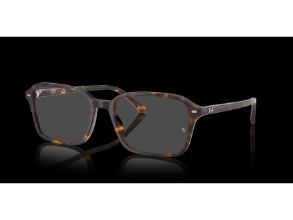 Ray-Ban RX5431 - celkový pohled