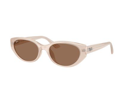 Ray-Ban RB4457D - celkový pohled