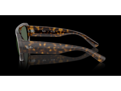 Ray-Ban RB2218 - celkový pohled