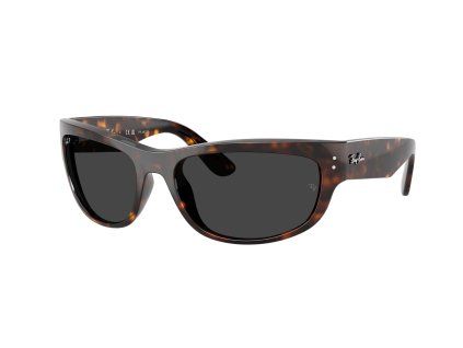 Ray-Ban RB2289 - celkový pohled