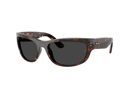Ray-Ban RB2289 - celkový pohled