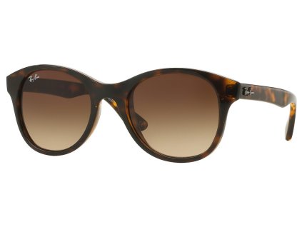 Ray-Ban RB4203