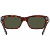 Persol PO3301S