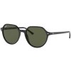 Ray-Ban RB2195