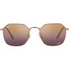 Ray-Ban RB3694