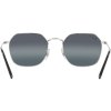 Ray-Ban RB3694