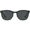 Ray-Ban RB3709