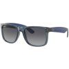 12035 ray ban justin rb4165
