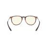 12044 5 ray ban erika rb4171