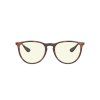 12044 ray ban erika rb4171