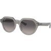 12077 ray ban rb4399