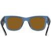 Ray-Ban RB0840S