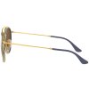 Ray-Ban RB3647N