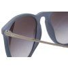 14426 5 ray ban erika rb4171