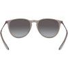 14429 3 ray ban erika rb4171