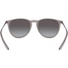 Ray-Ban Erika RB4171