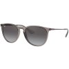 Ray-Ban Erika RB4171