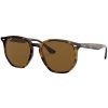 14450 ray ban rb4306