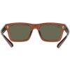 Ray-Ban RB4396