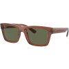 Ray-Ban RB4396