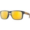 Oakley Holbrook Matte Carbon w/Prizm 24K Plr