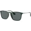 Ray-Ban RB4187
