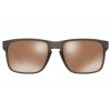 Oakley Holbrook Matte Olive Ink /w Prizm Tungsten