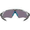 Oakley Radar EV Path Sncty Swirl w/ Prizm Grey
