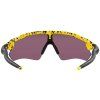 16743 3 oakley radar ev path tdf splttr w prizm road black