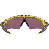 Oakley Radar EV Path TDF Splttr w/ Prizm Road Black