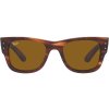 Ray-Ban RB0840S