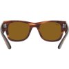 Ray-Ban RB0840S