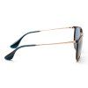 16929 3 ray ban erika rb4171