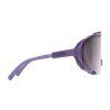18495 2 poc devour sapphire purple translucent os