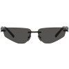 18734 2 dolce gabbana dg2301