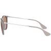 Ray-Ban Erika RB4171