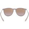 Ray-Ban Erika RB4171