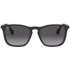 Ray-Ban RB4187
