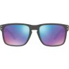 Oakley Holbrook Steel w/ Prizm Snow Sapphire