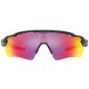 Oakley Radar EV Path Scenic Grey w/ Prizm Road