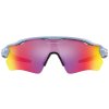 Oakley Radar EV Path Matte Stonewash w/ Prizm Road