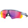 Oakley Radar EV Path Matte Stonewash w/ Prizm Road
