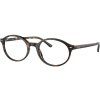 20905 ray ban rx5429