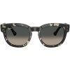 21361 2 ray ban rb0298s