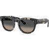 21361 ray ban rb0298s