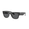 Ray-Ban RB0840S