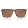 Oakley Holbrook XXL Woodgrain w/ Prizm Tungsten Polarized