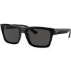 21517 ray ban rb4396