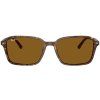21595 2 ray ban rb2231