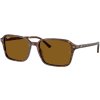 Ray-Ban RB2231
